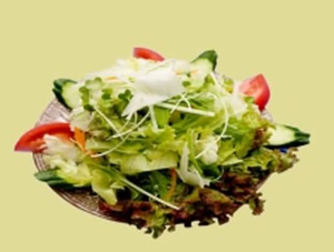 グリーンサラダ(Green Salad)
