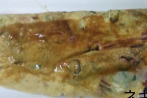 イカ焼き ねぎ