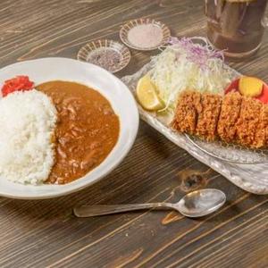 特上ひれかつカレー