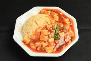 麻婆炒飯 Mapo Fried Rice