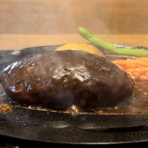 ☆おにおろしダブルハンバーグ弁当(ごはん付き、ダブルハンバーグ) の