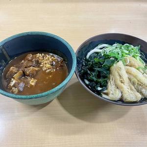 ミニカレー丼セット
