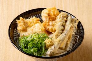 鶏ごぼう天うどん