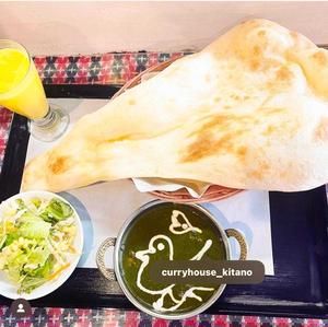 サグチキンカレーセット Sag Chicken Curryset
