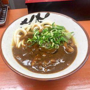 濃厚カレーうどん