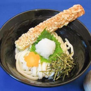 ちく天ぶっかけうどん