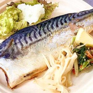 トロさばの塩焼き弁当