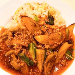 麻婆ナス炒飯
