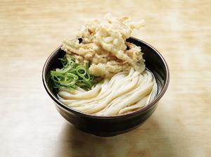 ごぼ天うどん