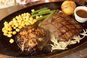 カットステーキ＆ハンバーグ 弁当
