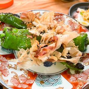 万願寺とうがらし