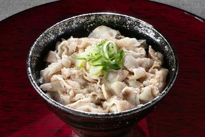 塩旨ダレぶたやき肉丼