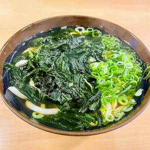 わかめうどん