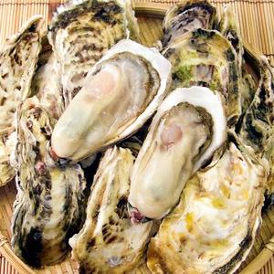 『生産者直送！』本日の殻付き生牡蠣 2個セット