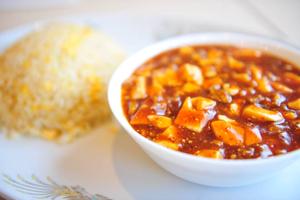 マーボー豆腐+五目炒飯プレート(麻婆豆腐+什炒)Mapo Bowl+ Fried Rice with Five Ingredient Plate