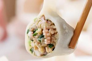手作り 水餃子20個(後焼くだけ)
