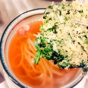 春菊天うどん