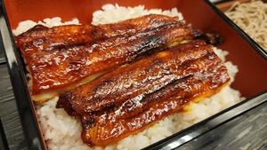 うな重弁当・上(一尾)