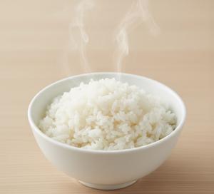 ライス Plain Rice