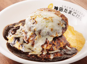 ハヤシ＆炙りチーズハンバーグオム