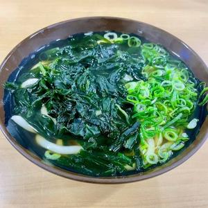 わかめうどん