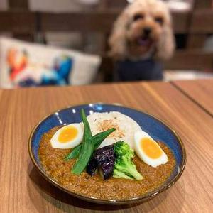 【Free Upsize】ONEカレー | 【Free Upsize】ONE Curry