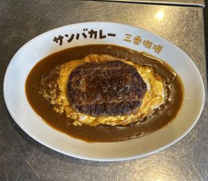 オムハンバーグカレー Omelet Hamburg steak curry