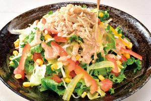 蒸し鶏と9種の彩り野菜のつぼ八サラダ