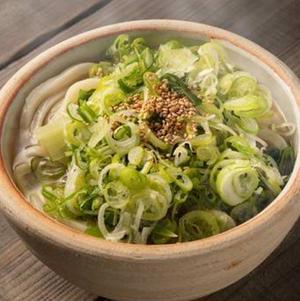 ごまねぎ温うどん hot udon with sesame＆green onion
