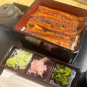 並うな重【松】1尾