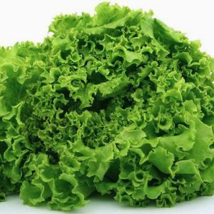 追加で2倍シャキシャキレタスでサラダ風に！ Extra Lettuce Leaf