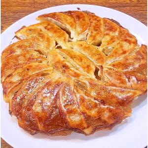 焼き餃子(ニンニクあり・20個)