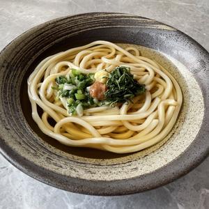 梅・しそかけ讃岐うどん(温)/Sanuki udon noodles with warm ume and shiso