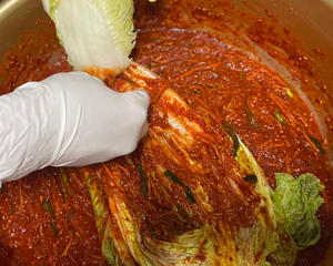 【専門店の自家製キムチとナムル】 [Homemade kimchi and namul from specialty stores]