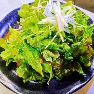チョレギサラダ