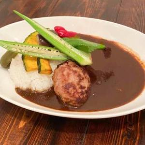 九州産！黒毛和牛ハンバーグカレー Juicy Hamburg Steak Curry