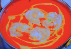 プラウンカレー Prawn Curry