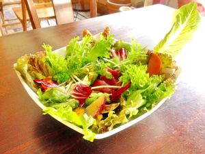 <新味>まぐろとアボカドサラダ ユッケ風Tuna and Avocado Yukke