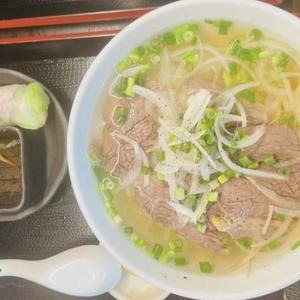 牛肉のフォー生春巻きセット