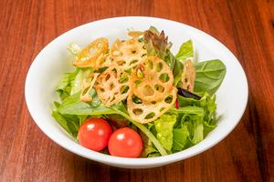 パリパリれんこんの和風サラダ Crispy Lotus Root Japanese Salad