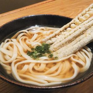 ごぼう天うどん