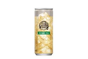 焼肉トラジ カナダドライジンジャーエール 250ml