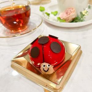 てんとう虫のピスタチオムース コーヒーセット