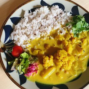 vegan野菜のココナッツカレー