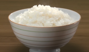 白ごはん