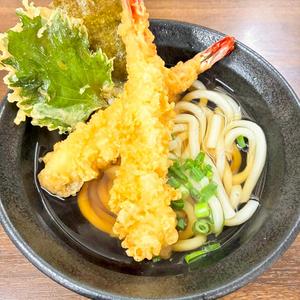 天ぷらうどん