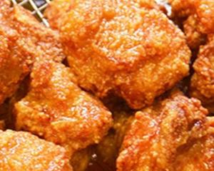 大分中津唐揚げ弁当(並)