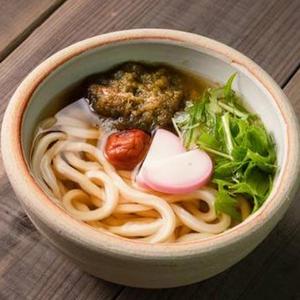 梅昆布温うどん hot udon with japanese apricot＆tororo kobu