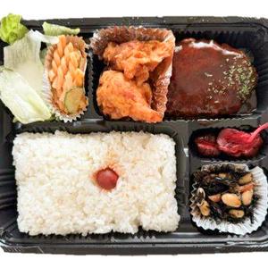 ハンバーグからあげ弁当