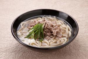 ねぎたっぷり 肉うどん